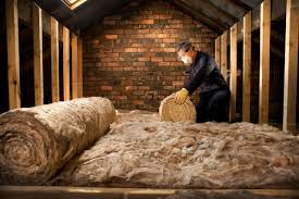 Best Insulation Removal  in Avondale, PA